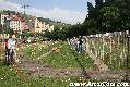 cangas del narcea,casas de aldea rurales,casa rural ,casas de aldea,rurales,casa rural,cangas del narcea,